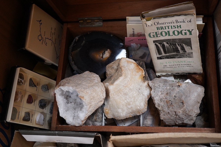 A collection of geological mineral specimens and fossils, including large quartz specimens, prepared cross-sections, fossilised tree sample, crystal formations, etc.